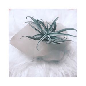 Large Quartz Candle holder